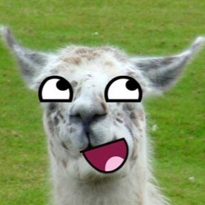 Meet your Posher, Jackson